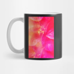 Pink camellia flowers 2 Mug